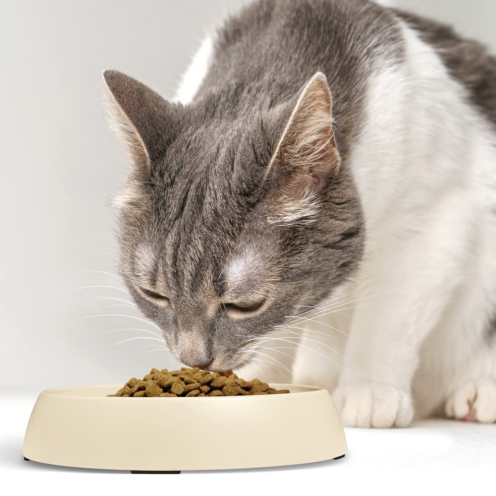 Ensemble de deux bols CatGuru pratique pour deux chats