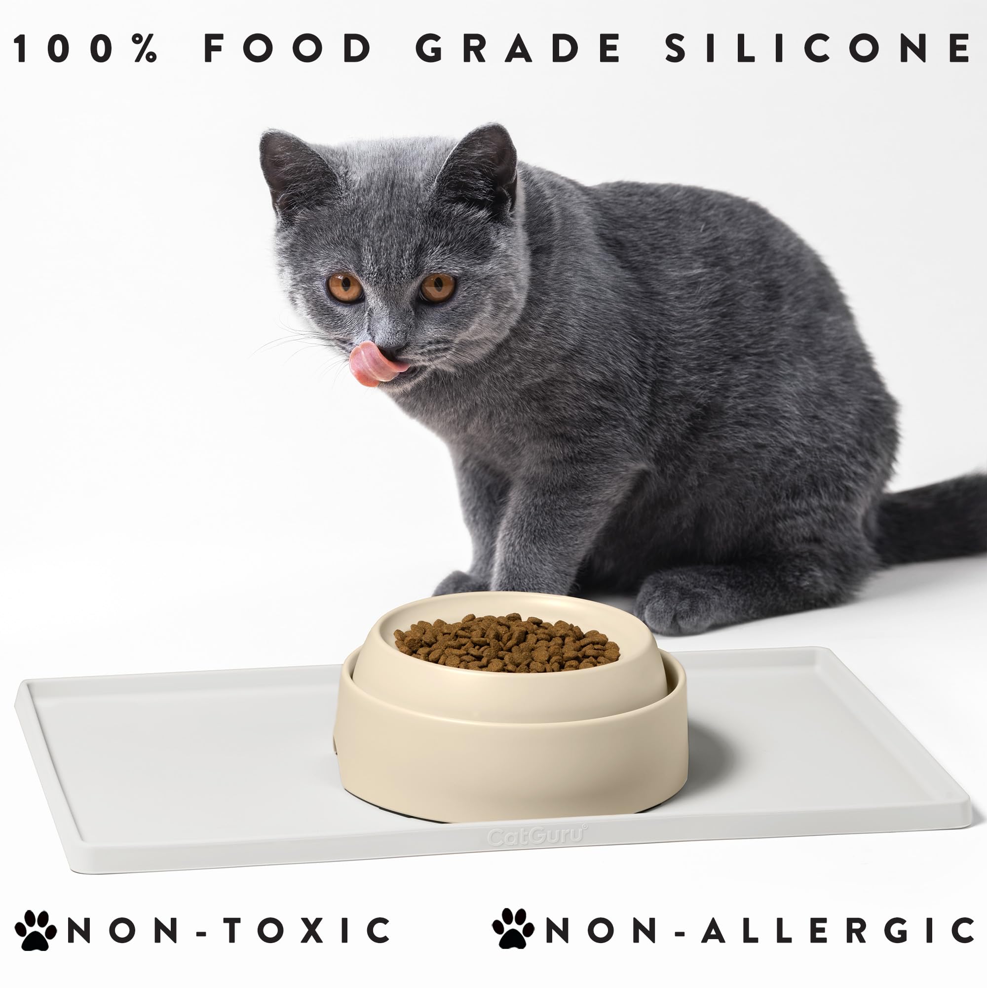 CatGuru Mat 19x11 pouces, protection des sols lors des repas.