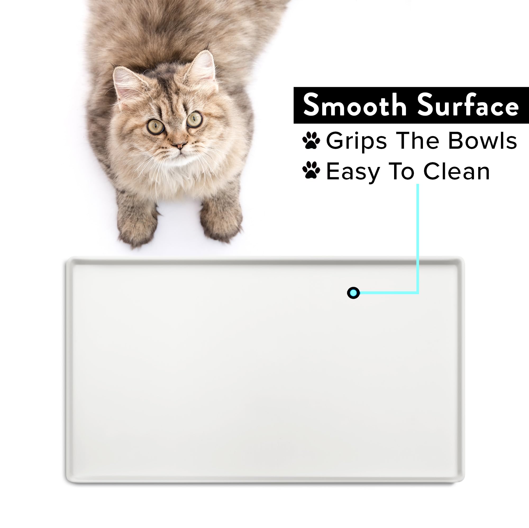 CatGuru Mat facile a nettoyer en silicone, nettoyage rapide.