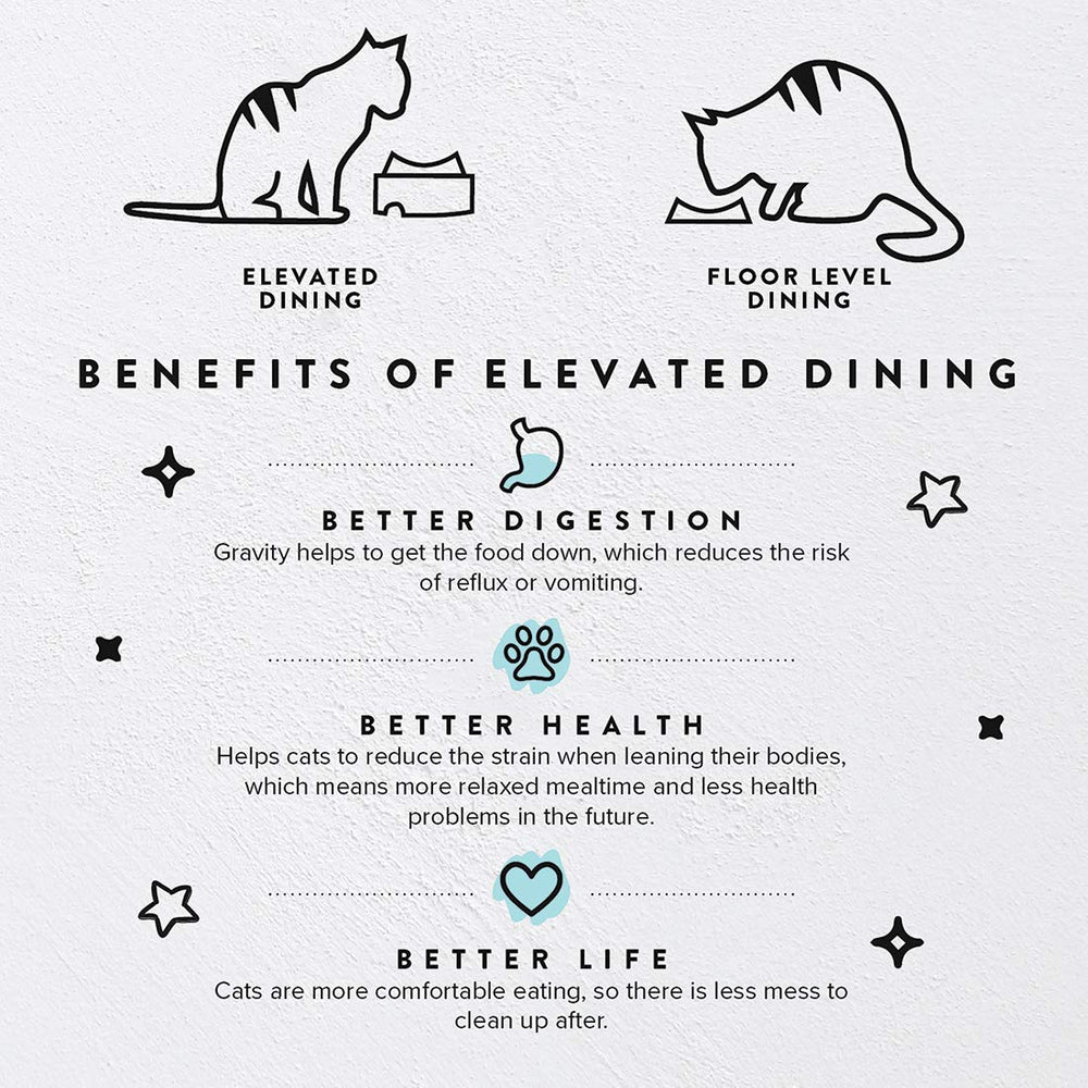 Support CatGuru pour bol de chat en hauteur et posture naturelle.