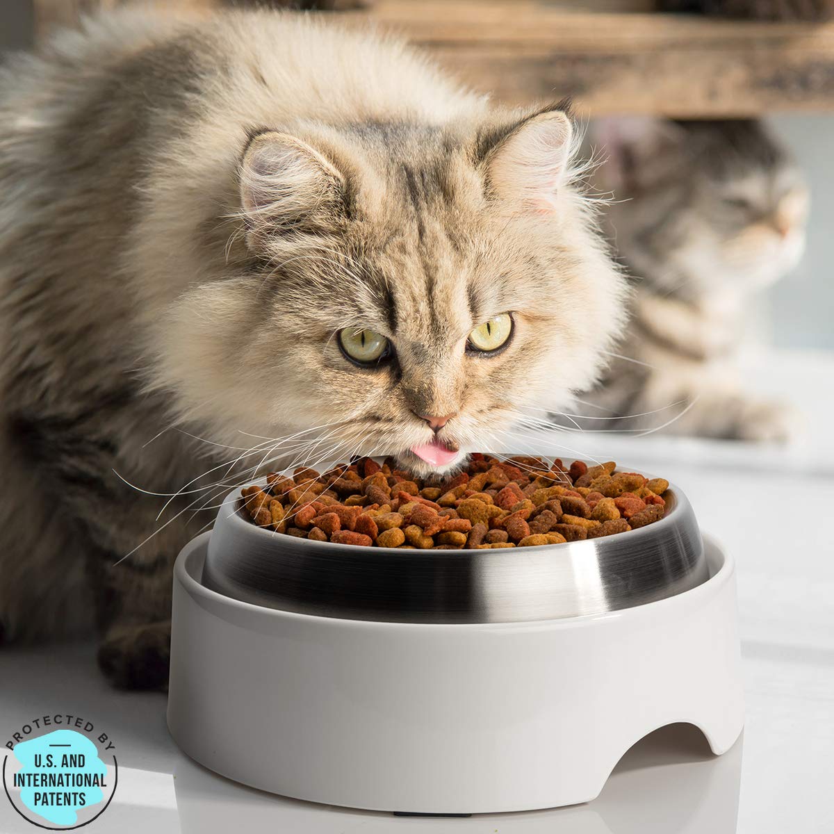 Bol surélevé CatGuru facilitant l ingestion et limitant les éclaboussures.