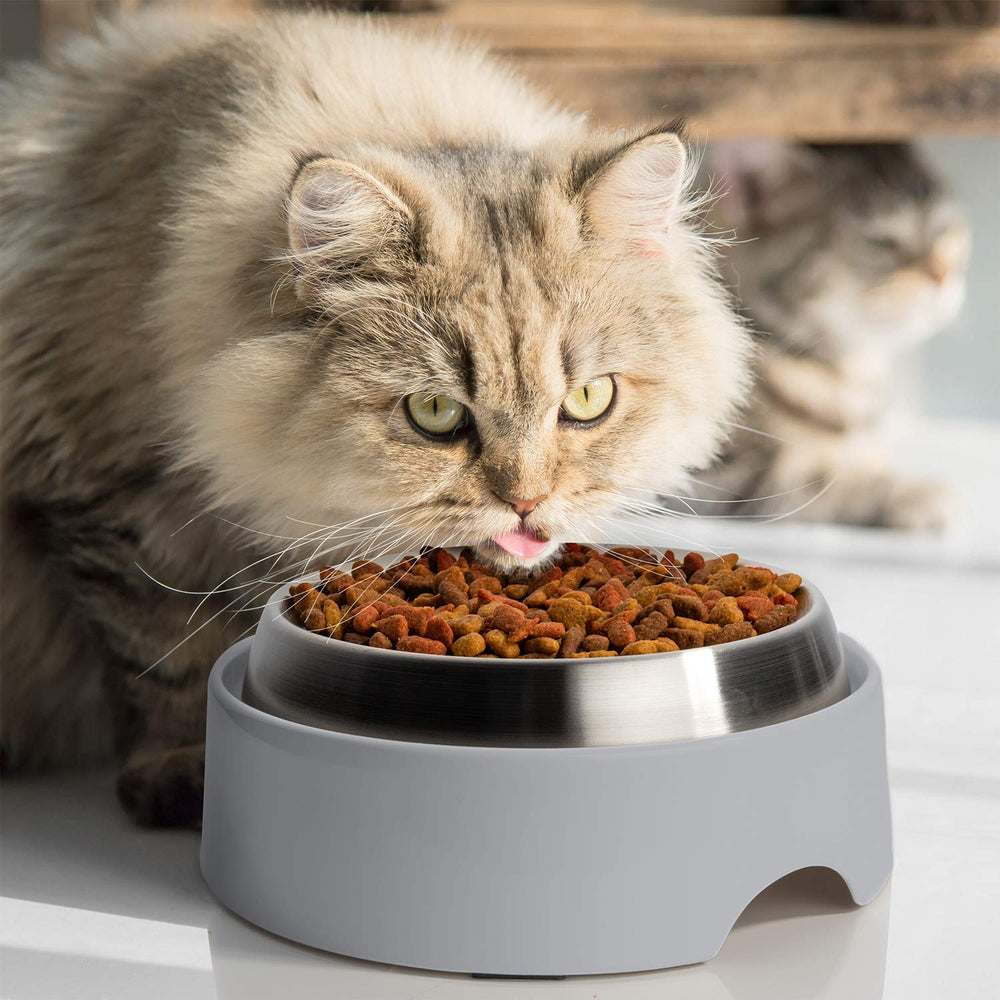 CatGuru Table gris, espace sous les bols facilite le nettoyage.
