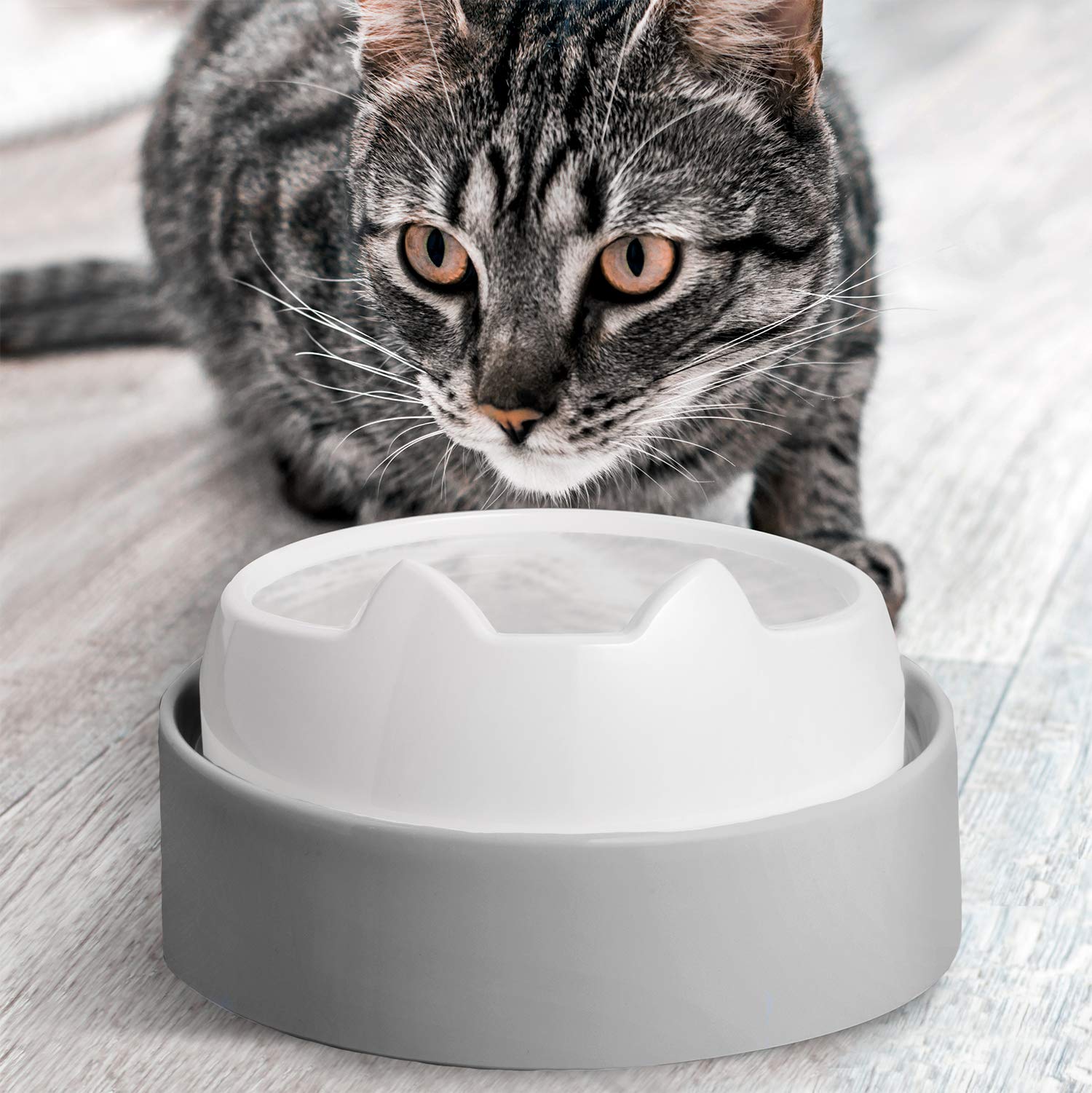 CatGuru Table avec bols, repas plus calmes et moins d effort pour votre chat.