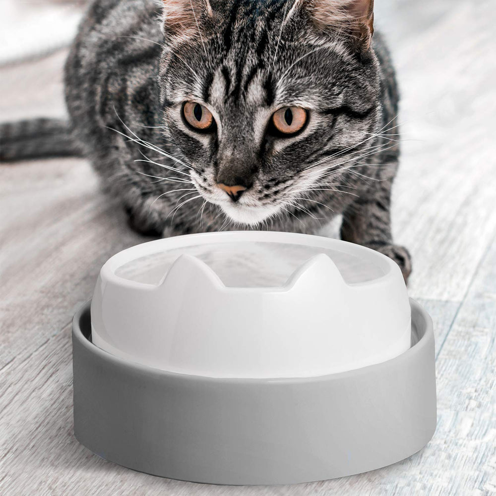 CatGuru Table avec bols, repas plus calmes et moins d effort pour votre chat.