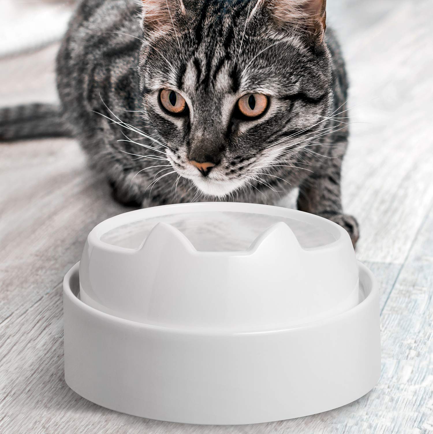 Utilisation quotidienne facilitée et nettoyage simple avec CatGuru.