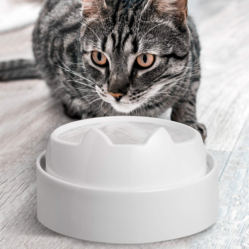 Utilisation quotidienne facilitée et nettoyage simple avec CatGuru.