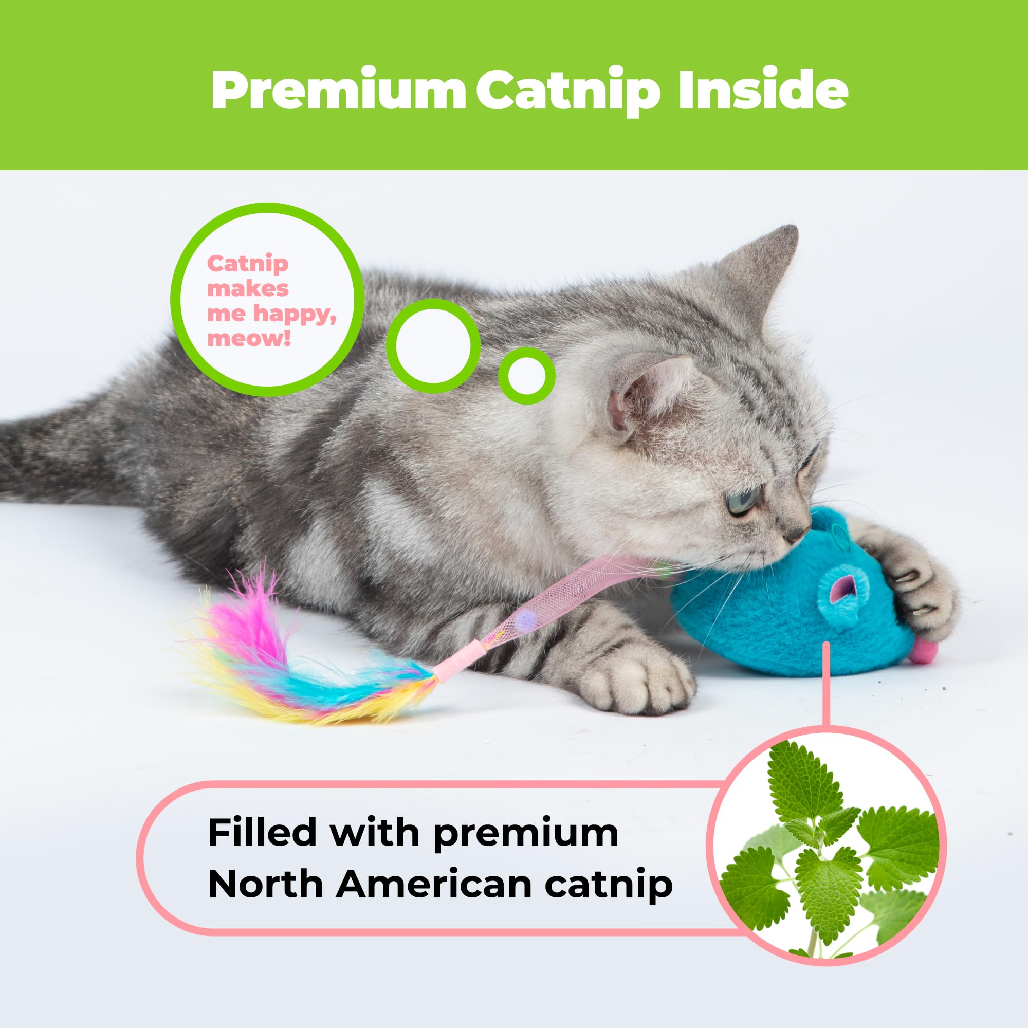 Catify Best Pet Supplies – maille élastique et queue plume, poursuite imprévisible pour chat
