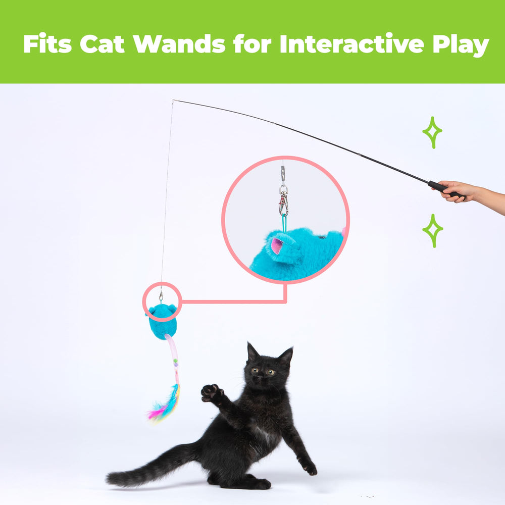 Catify Best Pet Supplies – jouet d’intérieur idéal pour chats et chatons