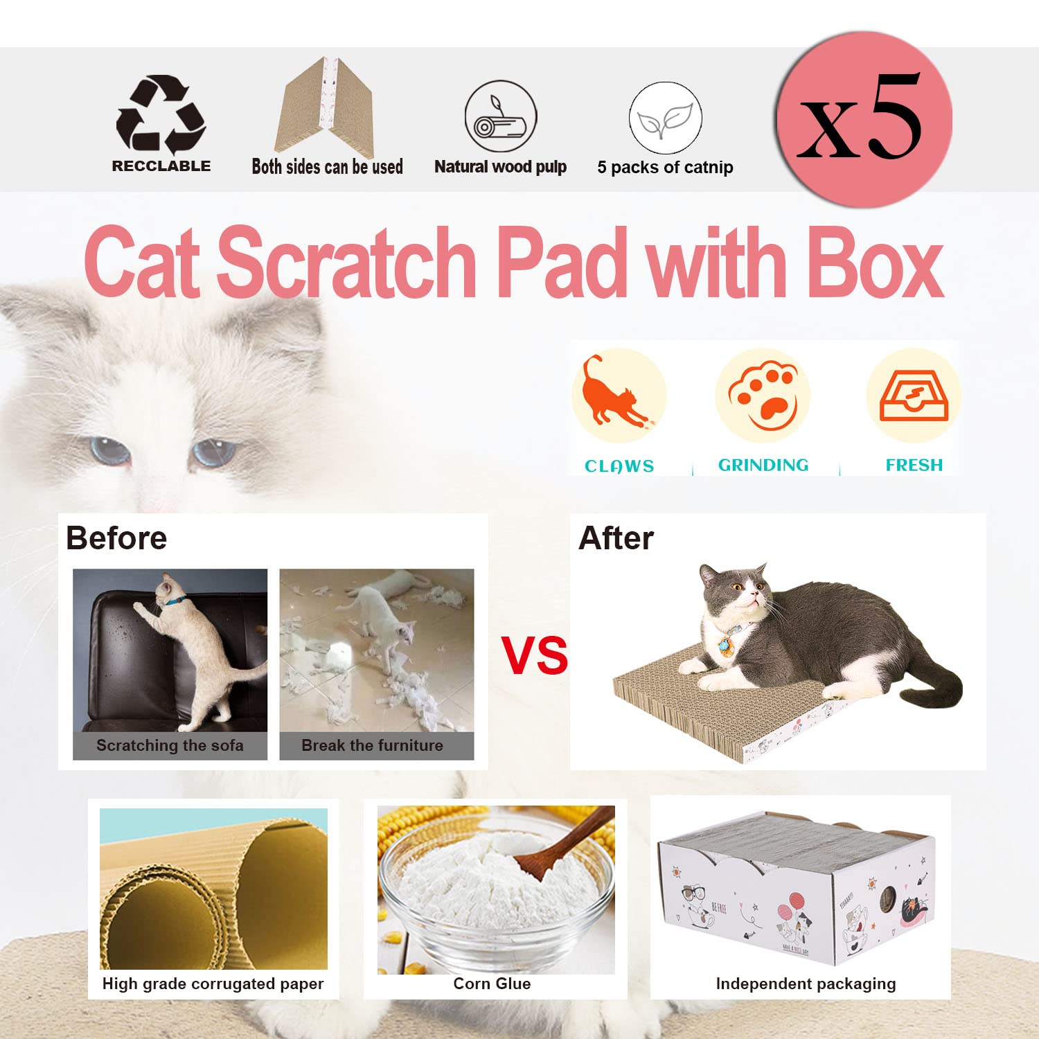 Catinarla boîte-incluse-grattoirs, rangement pratique après les séances