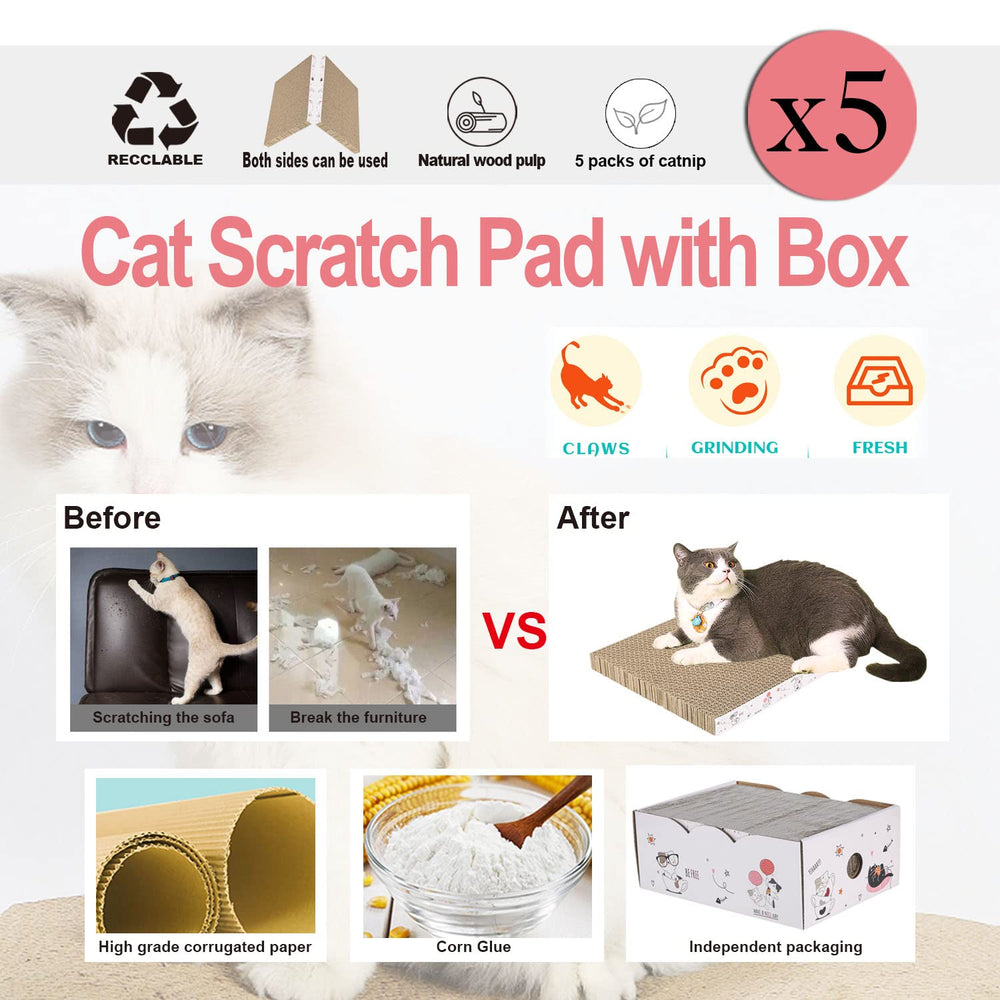 Catinarla boîte-incluse-grattoirs, rangement pratique après les séances