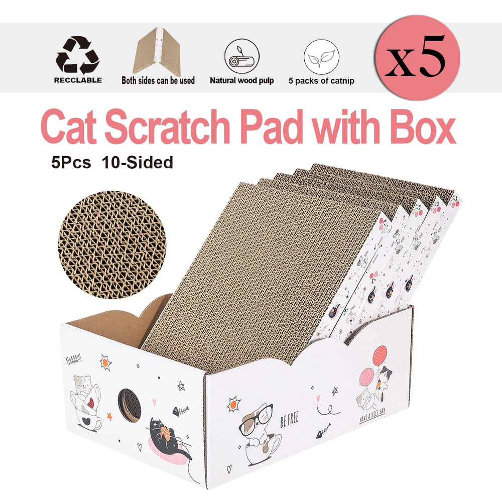 Catinarla ensemble-5-grattoirs, valeur durable et organisation facilitée