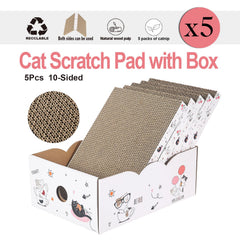 Catinarla ensemble-5-grattoirs, valeur durable et organisation facilitée