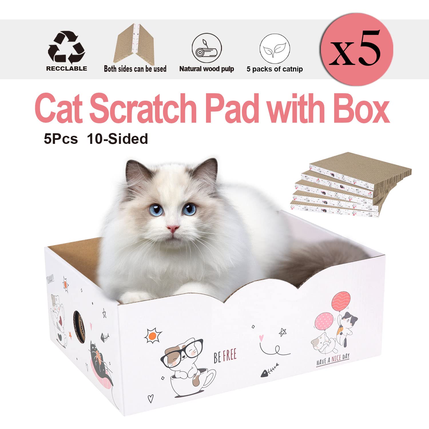Catinarla grattoir-2faces-durable, surface variée pour plus d’amusement
