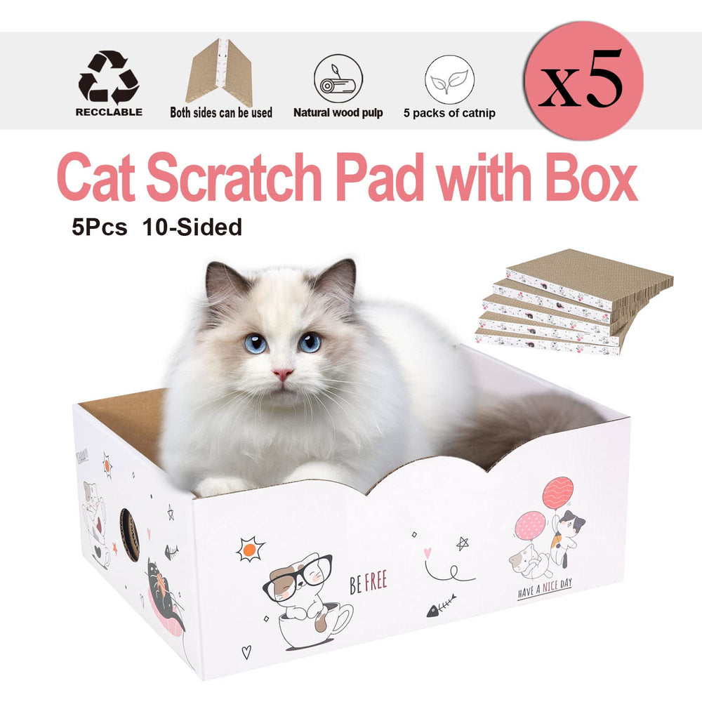 Catinarla grattoir-2faces-durable, surface variée pour plus d’amusement
