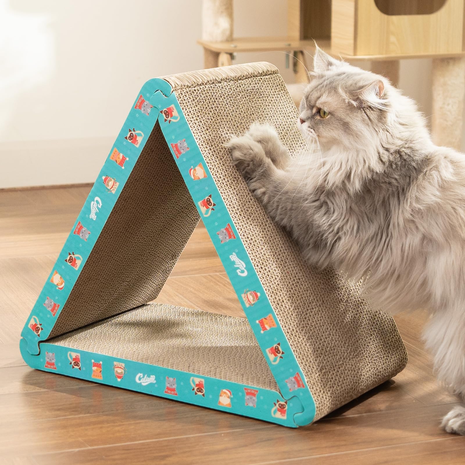 CATISM ensemble triple carton triangle, idéal pour plusieurs chats ou rotation.