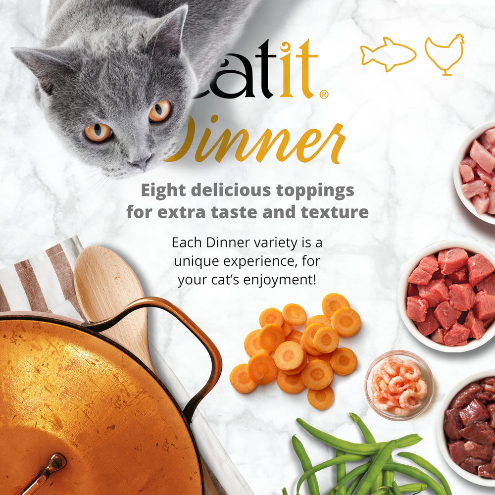Catit Dinner Chicken sur une assiette, texture appétissante pour chats.