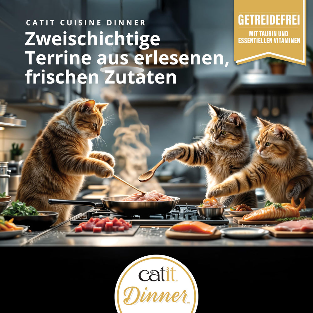 Catit Fish Dinner usage quotidien comme complément croquettes
