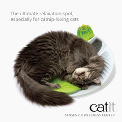 Catit Senses 2.0 bosses massage 360° pour un toilettage complet.