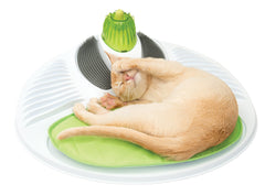 Catit Senses 2.0 Zone relaxation centrale pour votre chat.