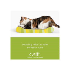 Catit Style Scratcher Avec herbe chat stimule le jeu et l'exploration.