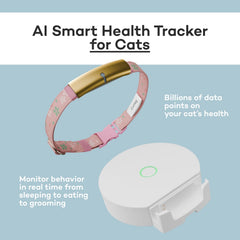 Catlog alertes sante chat: avertissements rapides en cas d ecarts.