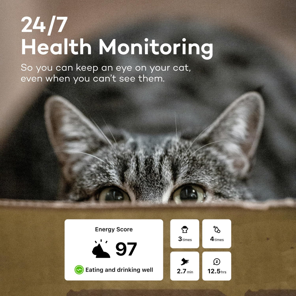 Catlog capteurs biometriques sur le collier, surveillance 24/7 du chat