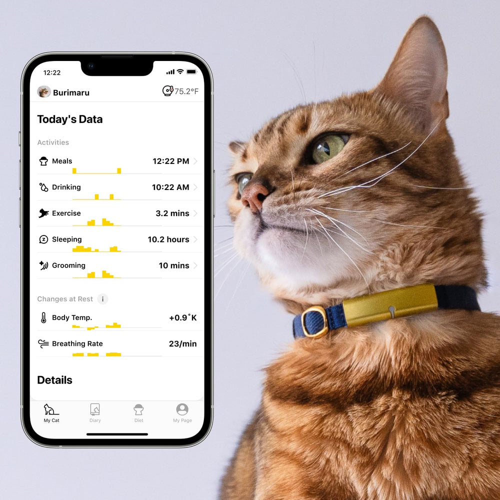 Catlog capteurs-suivi-activité-chat, vue globale des habitudes quotidiennes.