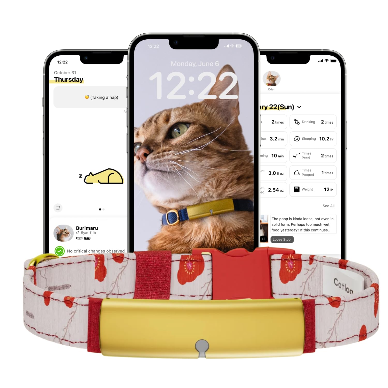 Catlog collier sante chat ume xs: surveille les signes vitaux en continu.