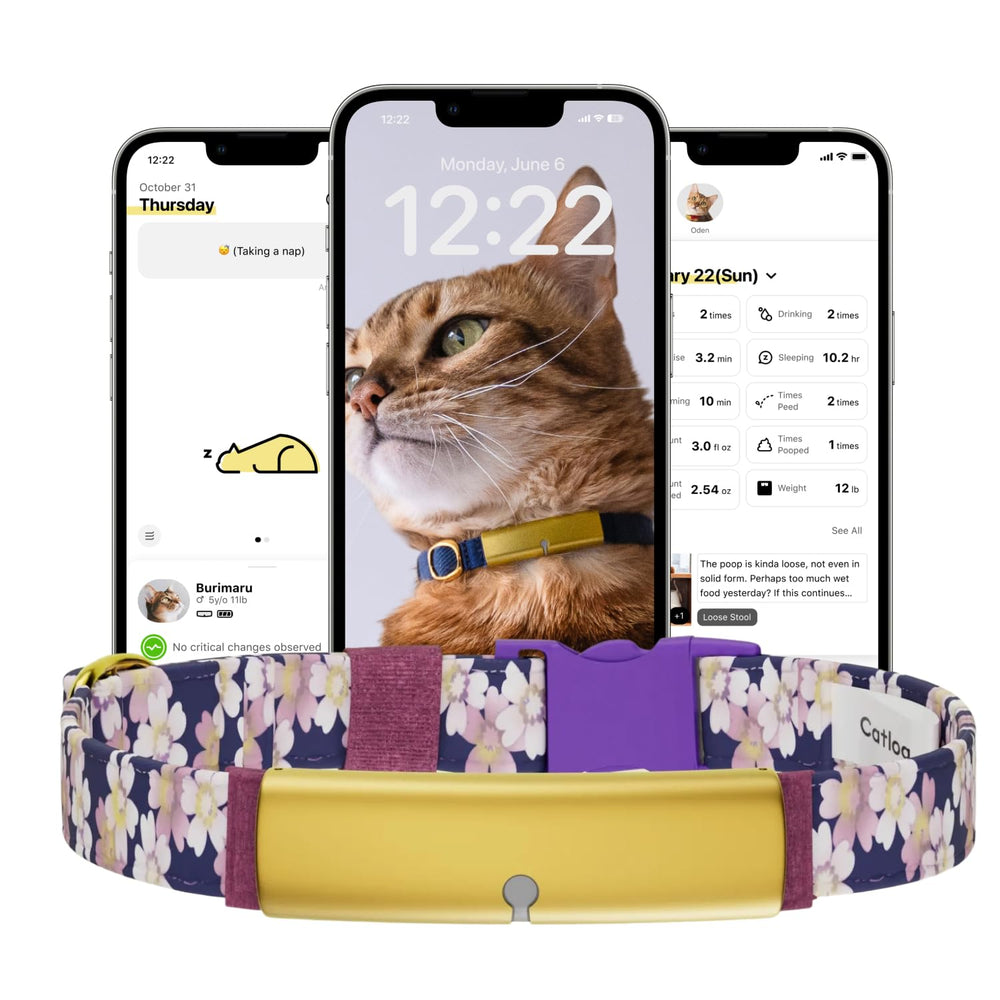 Catlog collier sante: petit pendentif pour suivre les signes vitaux de votre chat.