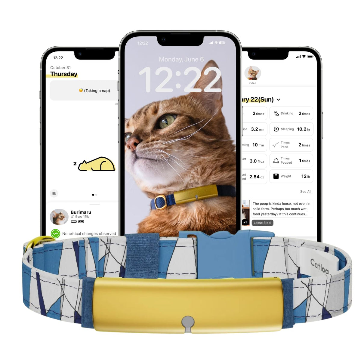 Catlog traceur sante chat collier bleu Wave XS, surveillance continue.
