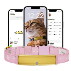 Catlog pendentif santé sur chat pour un suivi proactif des signes vitaux.