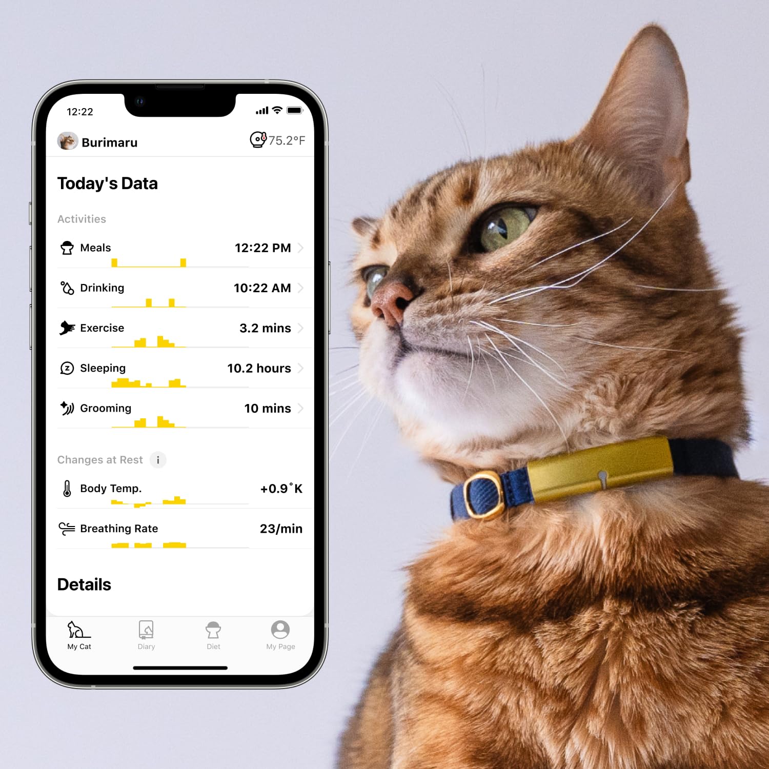 Catlog utilisation quotidienne interieur chat: facilite le suivi a domicile.