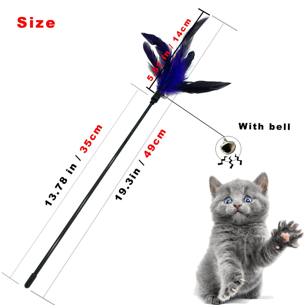 CATENESS plume-chat-exercice-physique favorise l’activité quotidienne.