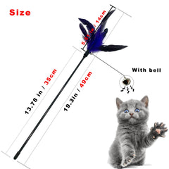 CATENESS plume-chat-exercice-physique favorise l’activité quotidienne.