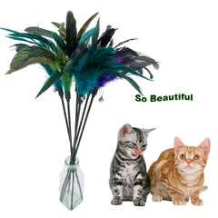 CATENESS tige-jouet-plume-chat stimule l’attention et le jeu chez le chat.