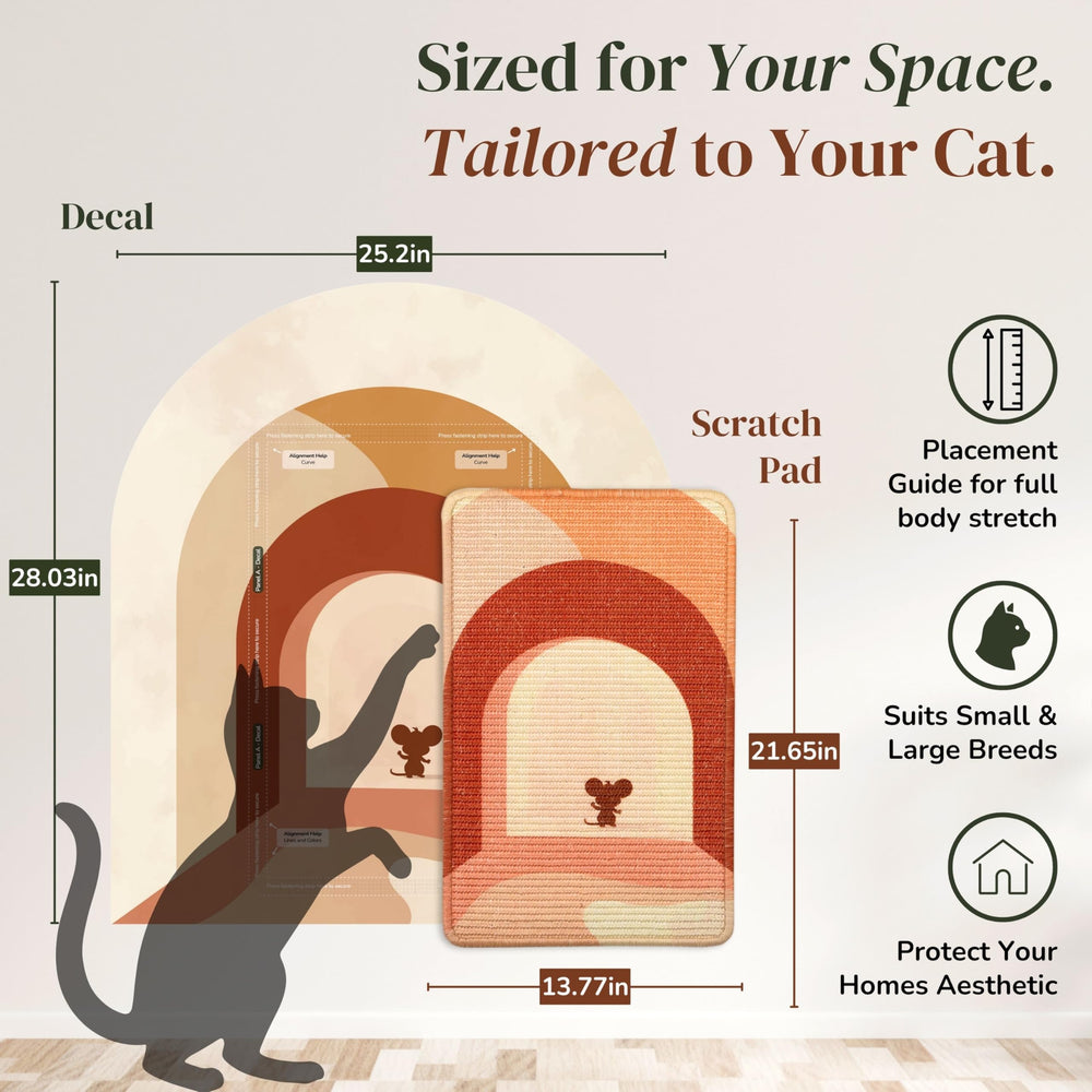 Catopiia montage sans perceuse, solution simple et propre.