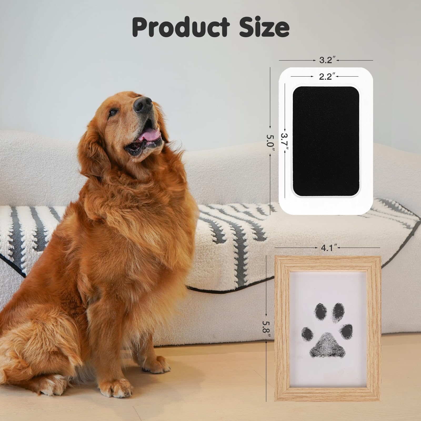 Catose empreinte nez chien sans encre, souvenir durable