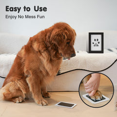 Catose empreinte nez chien sans encre capture nette et sans bavure.