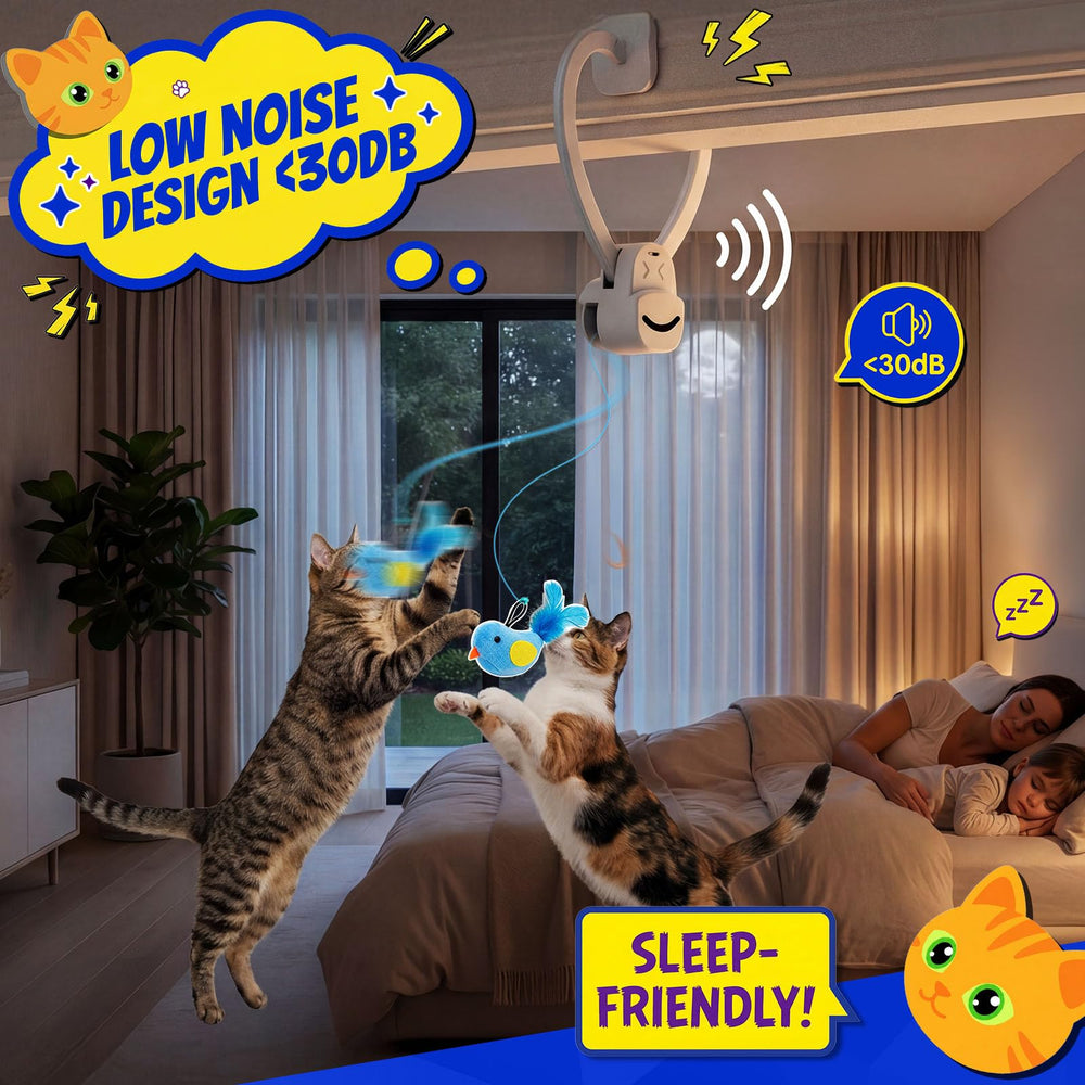 CATPICK boîte colorée avec manuel prêt à jouer