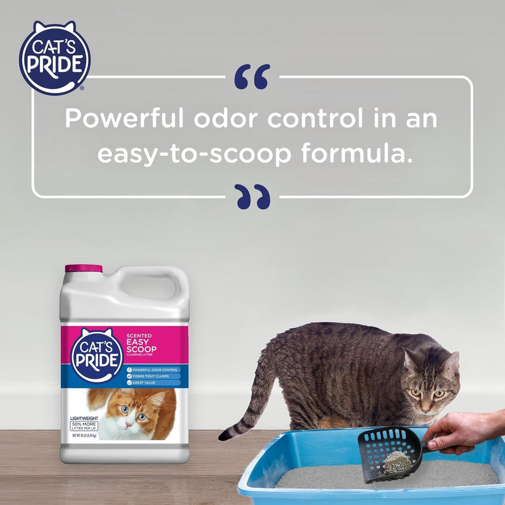 Cat's Pride absorption rapide garde le bac sec et propre.