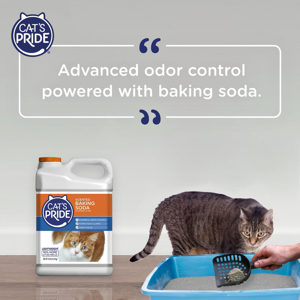 Cat's Pride - litière adaptée à tous âges et races de chats.
