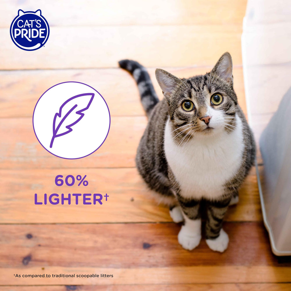 Cat's Pride litière cristaux micro: idéal pour chats sensibles et propriétaires exigeants.