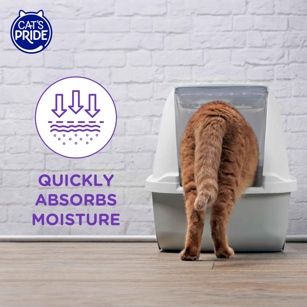 Cat's Pride litière cristaux micro: performance durable et contrôle des odeurs.