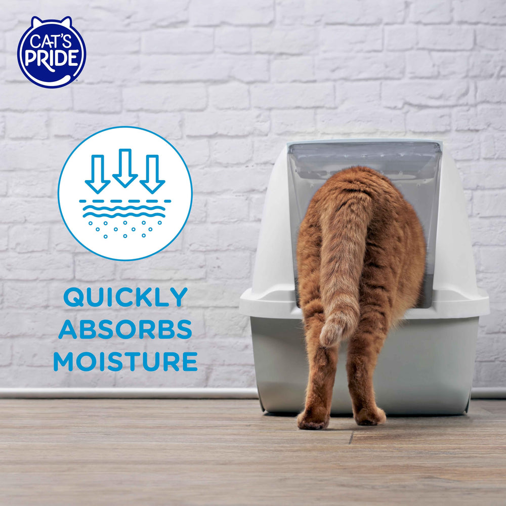 Cat’s Pride Douceur des pattes, texture sableuse et confortable