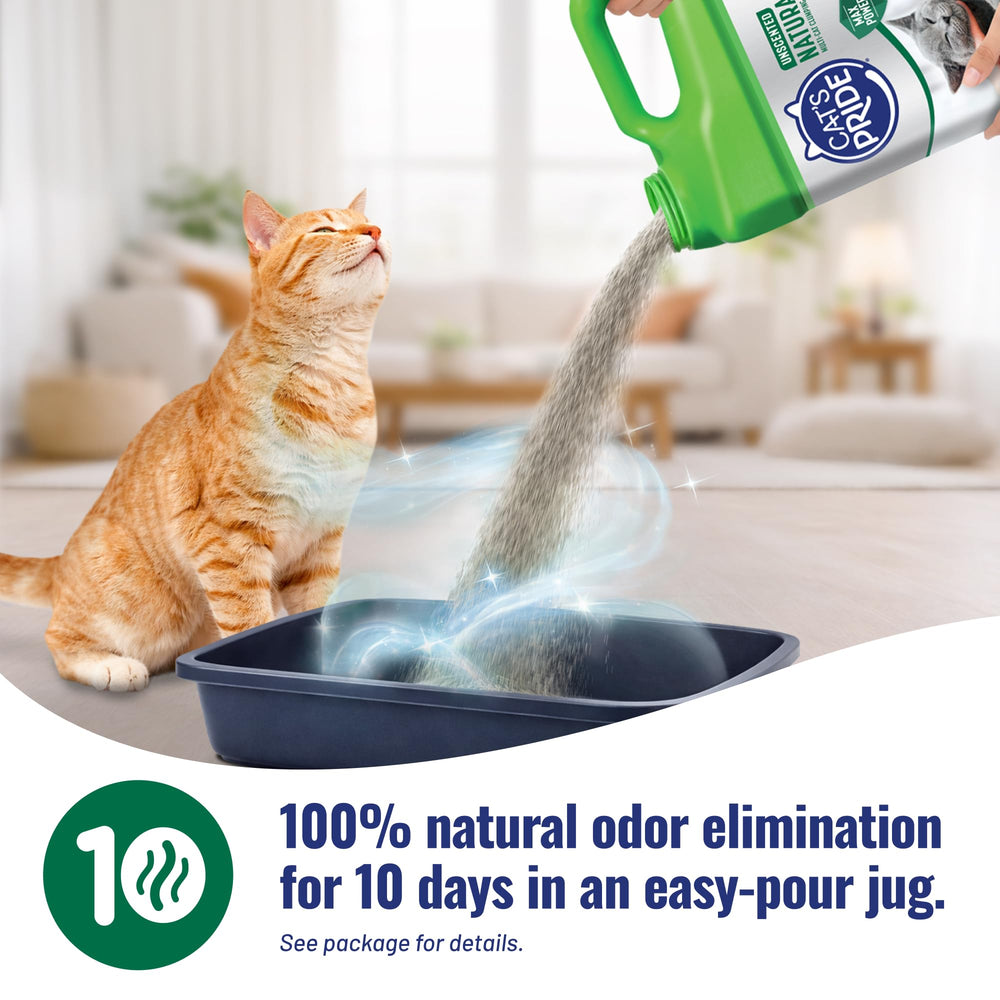Cat's Pride Max Power – litière 25 pour cent plus légère pour faciliter le versement