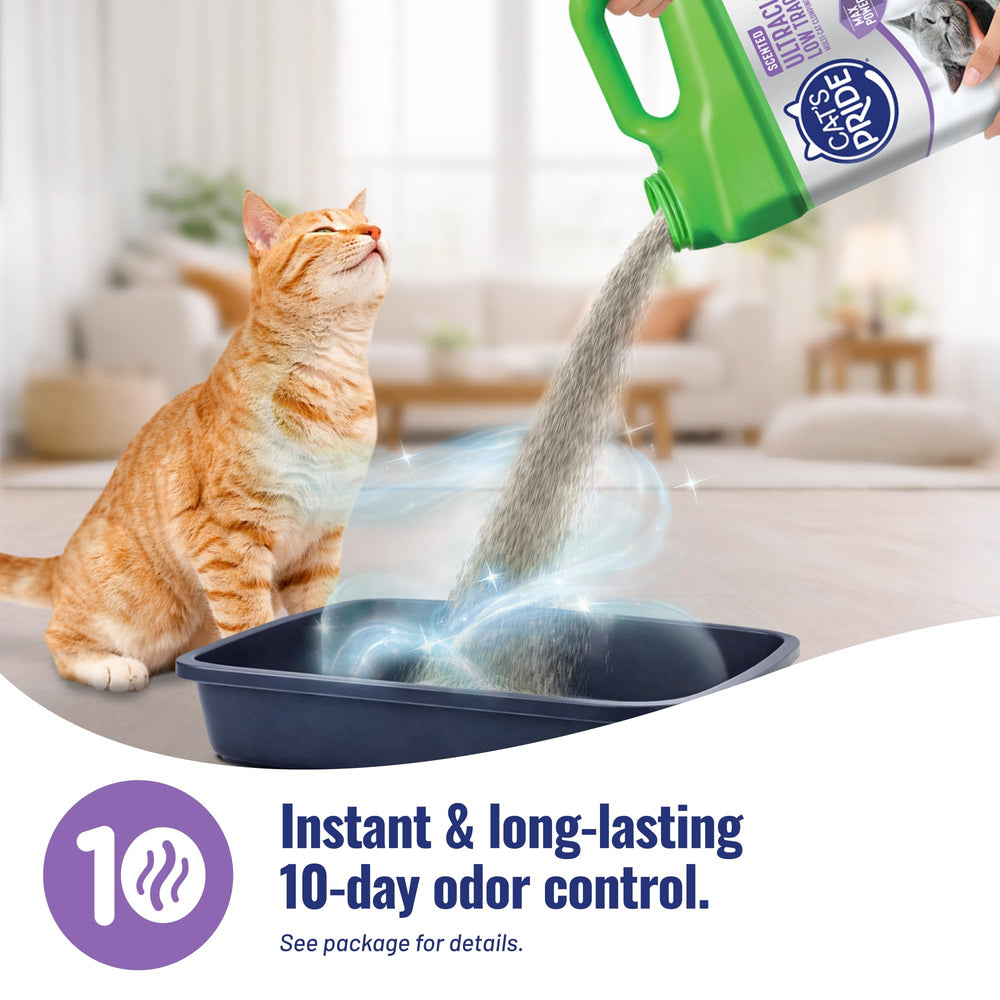 Cat's Pride Max Power – litière 25% plus légère pour verser et stocker facilement.