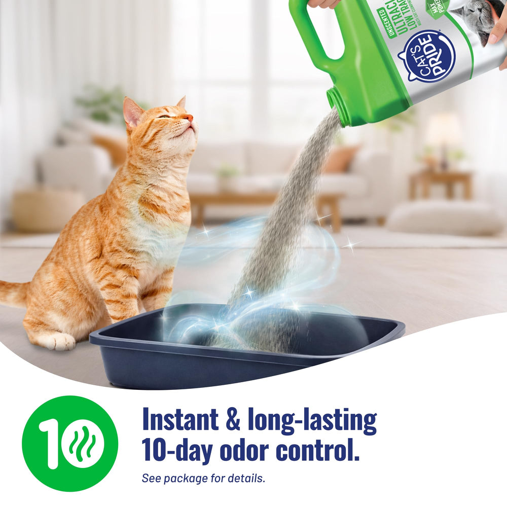 Cat's Pride Max Power Litière: granules à faible traînage pour des pattes propres.