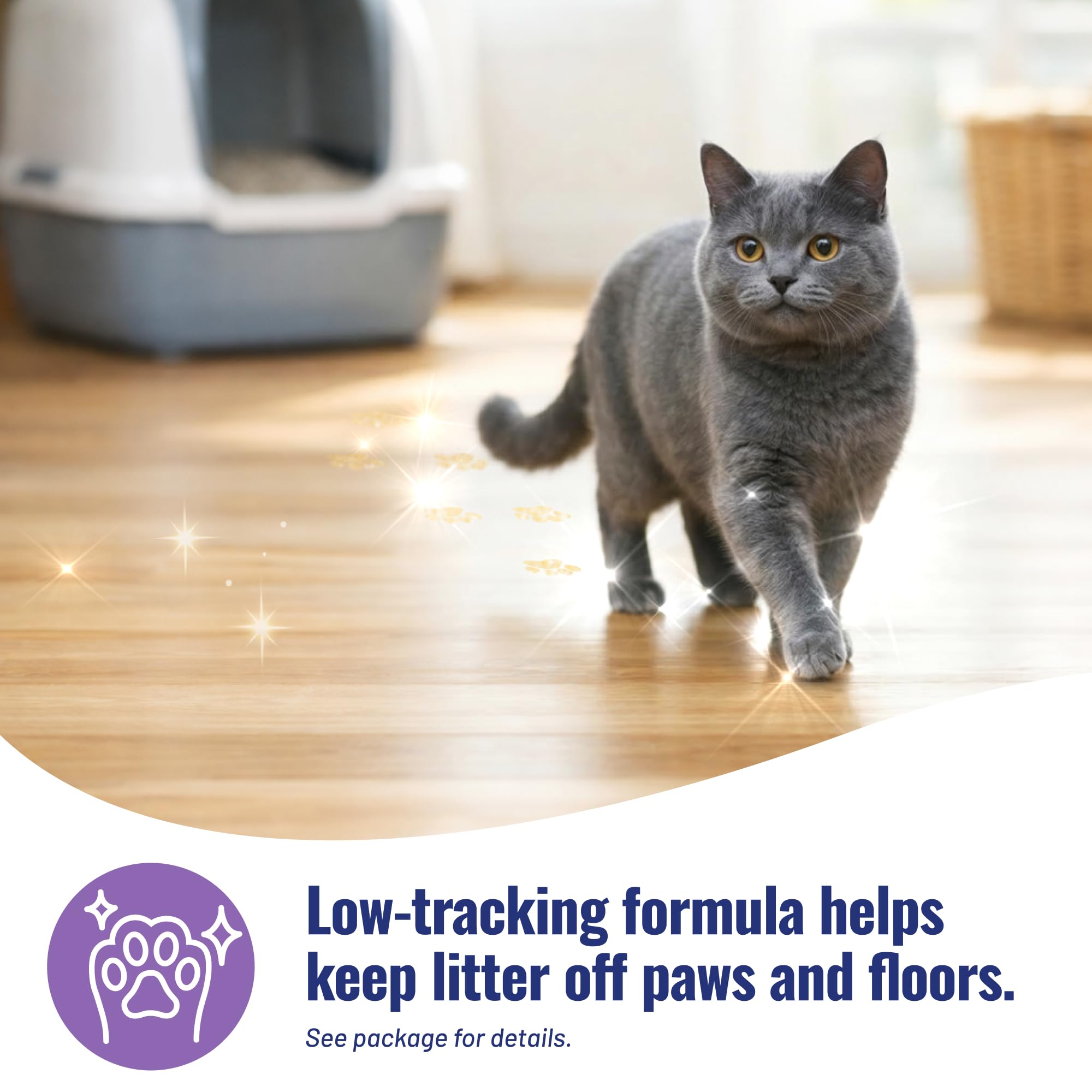 Cat's Pride Max Power – format léger facilitant le versement et le rangement.