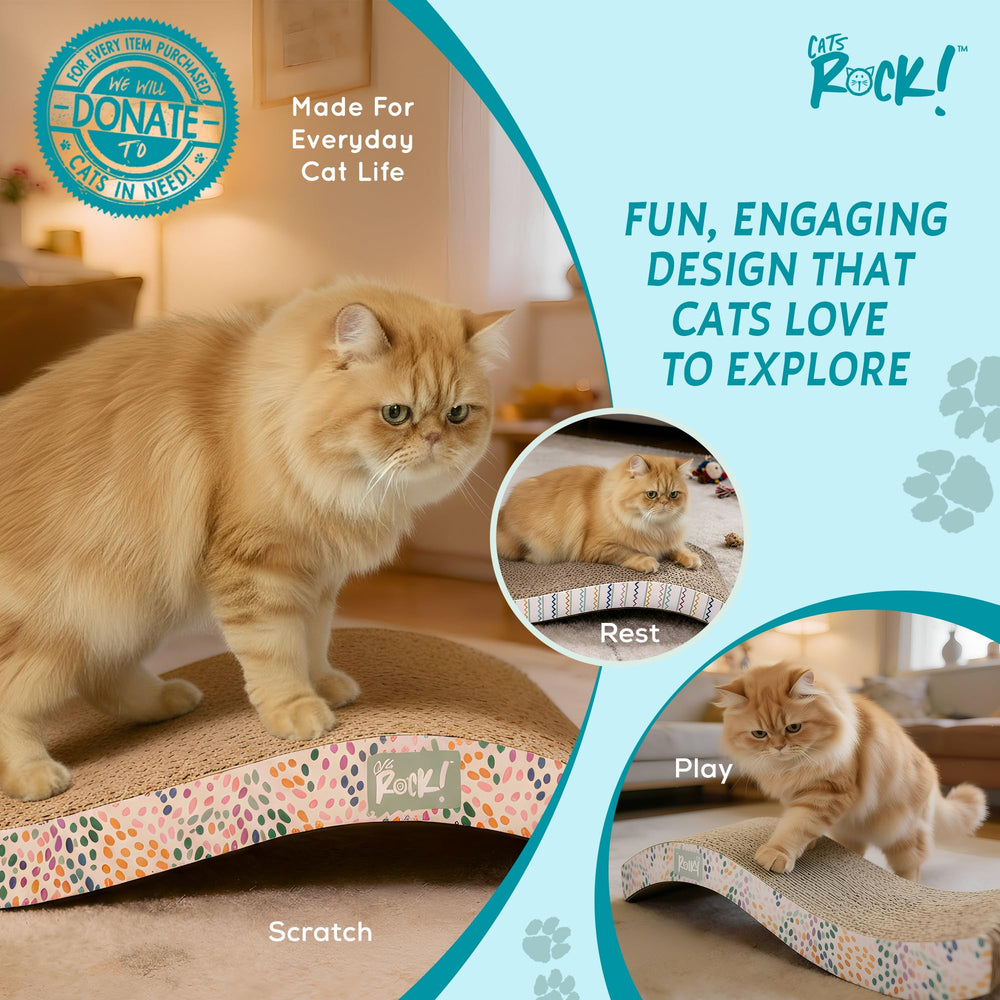 Cats Rock convient aux chatons et chats adultes, solution intérieure polyvalente.