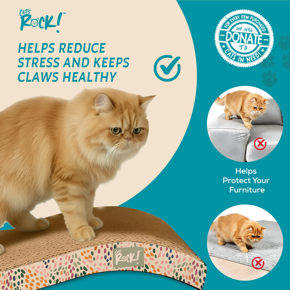 Catnip inclus avec Cats Rock pour attirer rapidement le chat et favoriser le jeu.